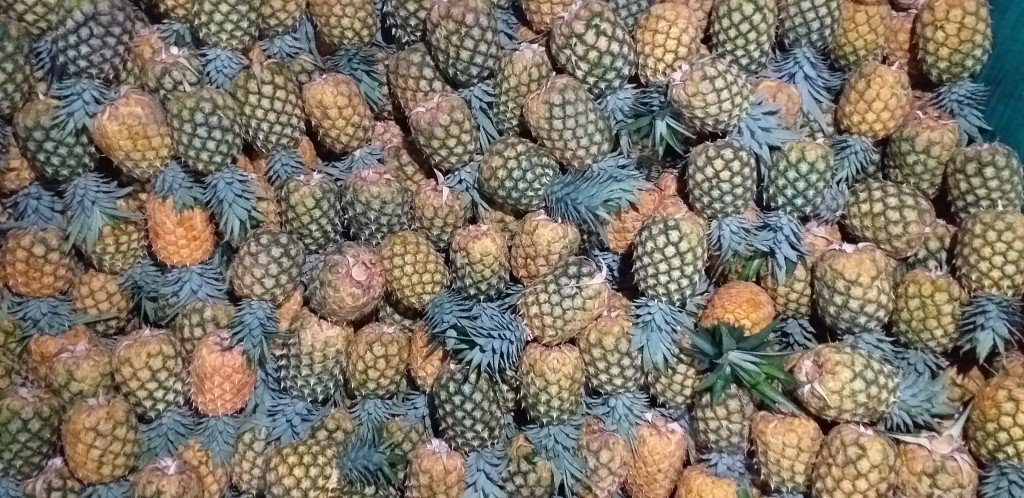 Piña oromiel