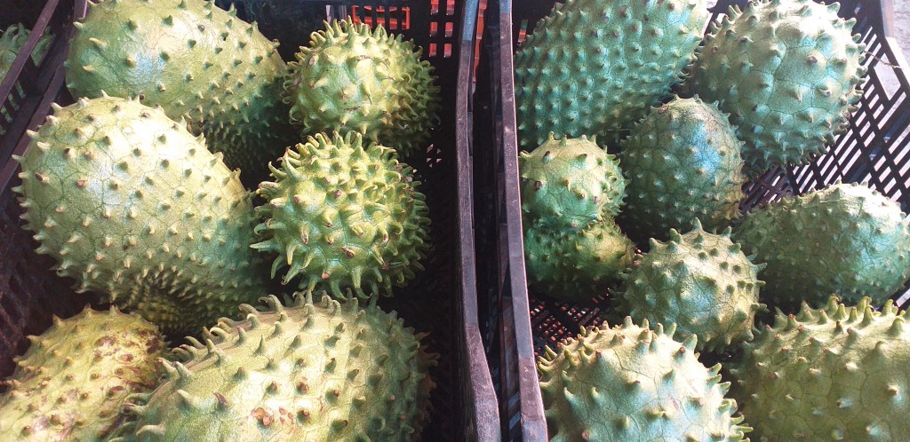 Guanabana