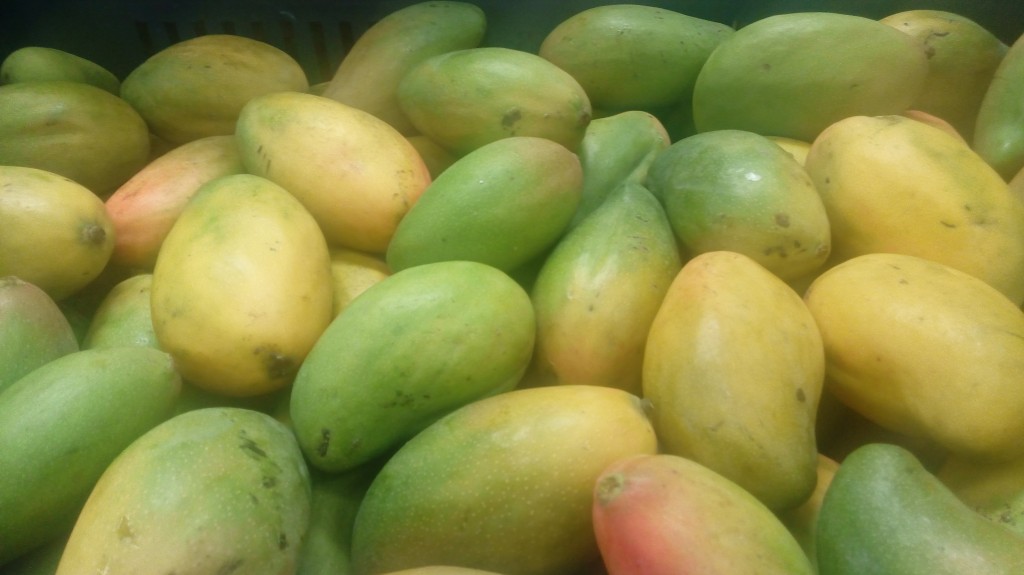 Mango pajarito