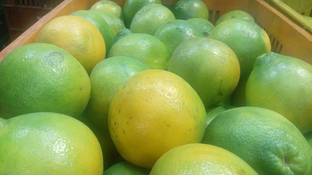 Naranja tangelo de primera