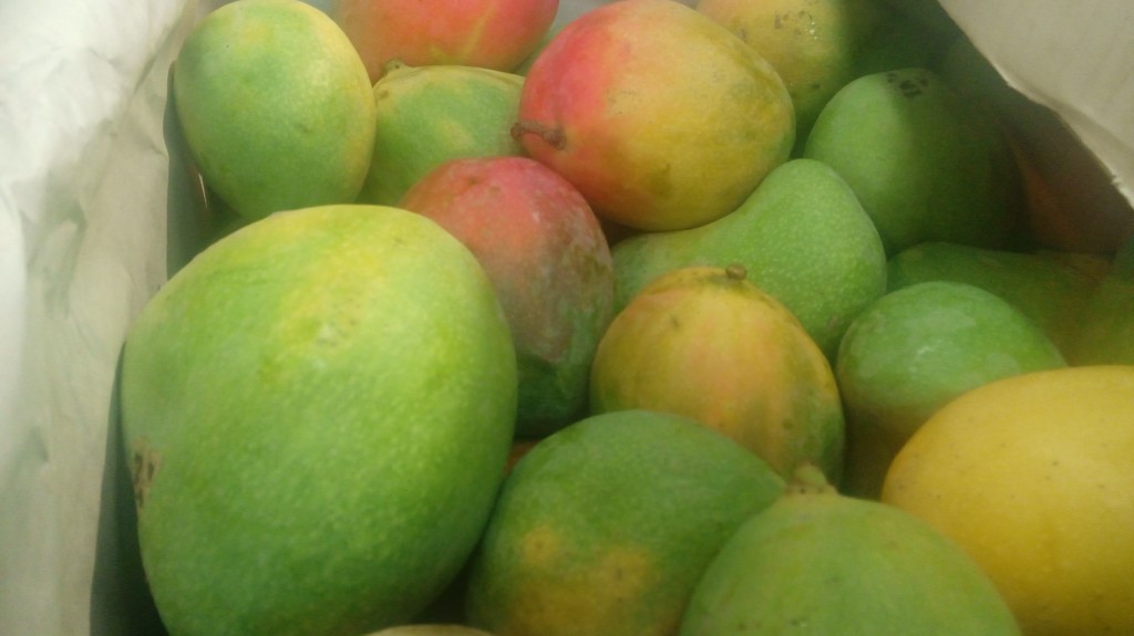 Mango ferchi