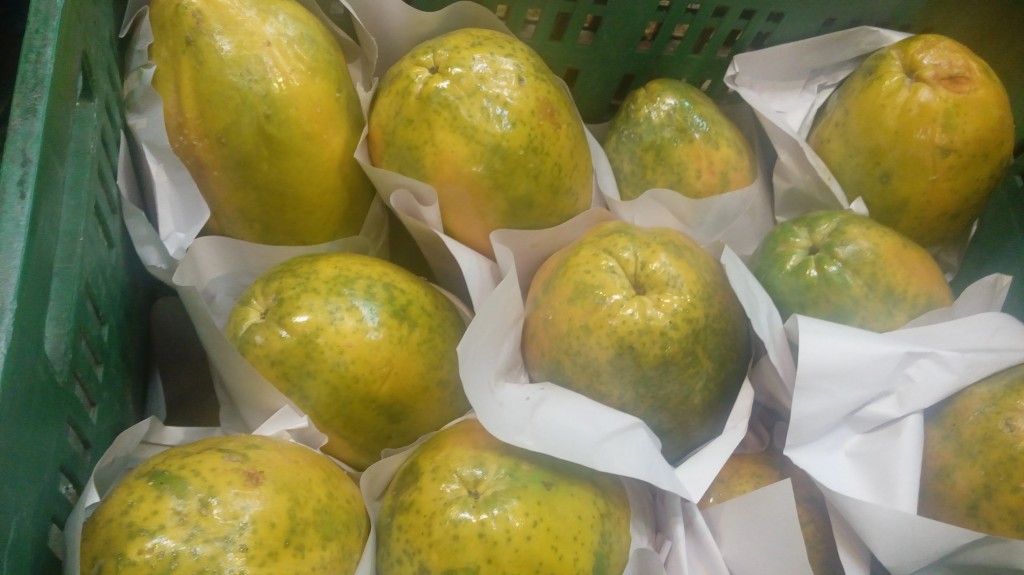 Papaya