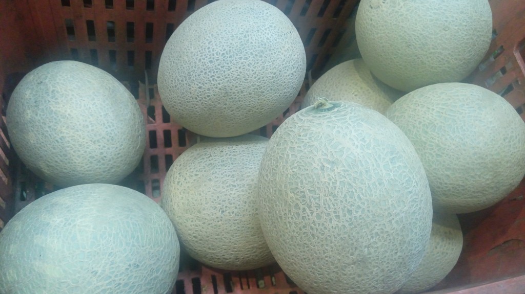 Melon
