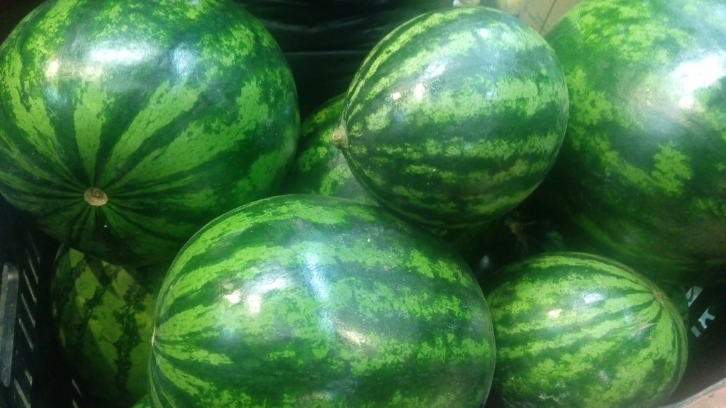 Sandia