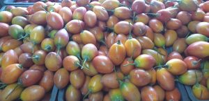 Tomate de arbol