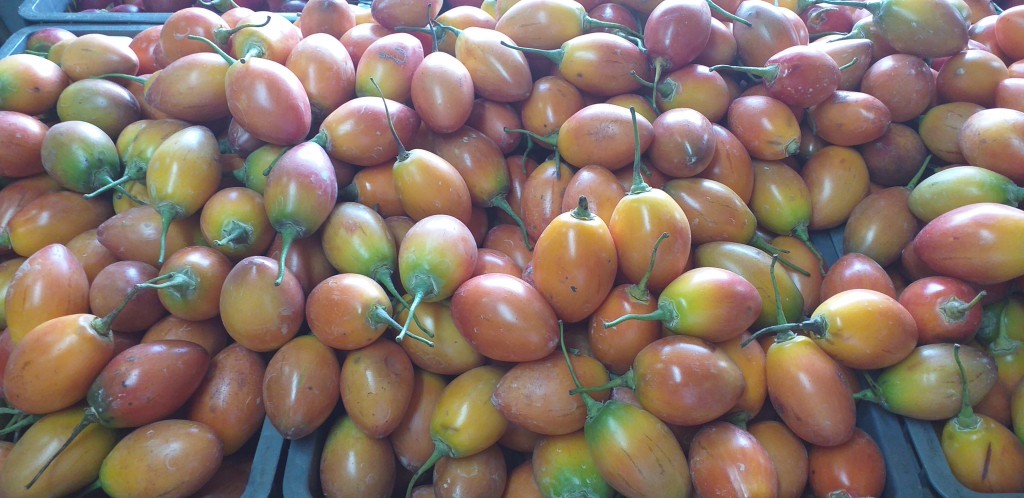 Tomate de arbol