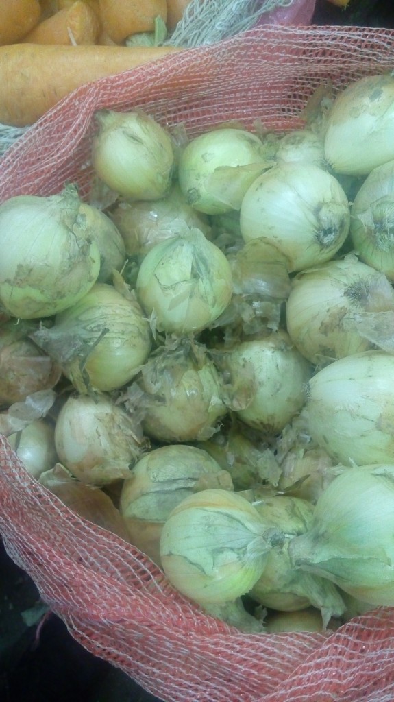Cebolla cabezona pareja