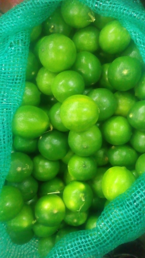 Limon tahiti
