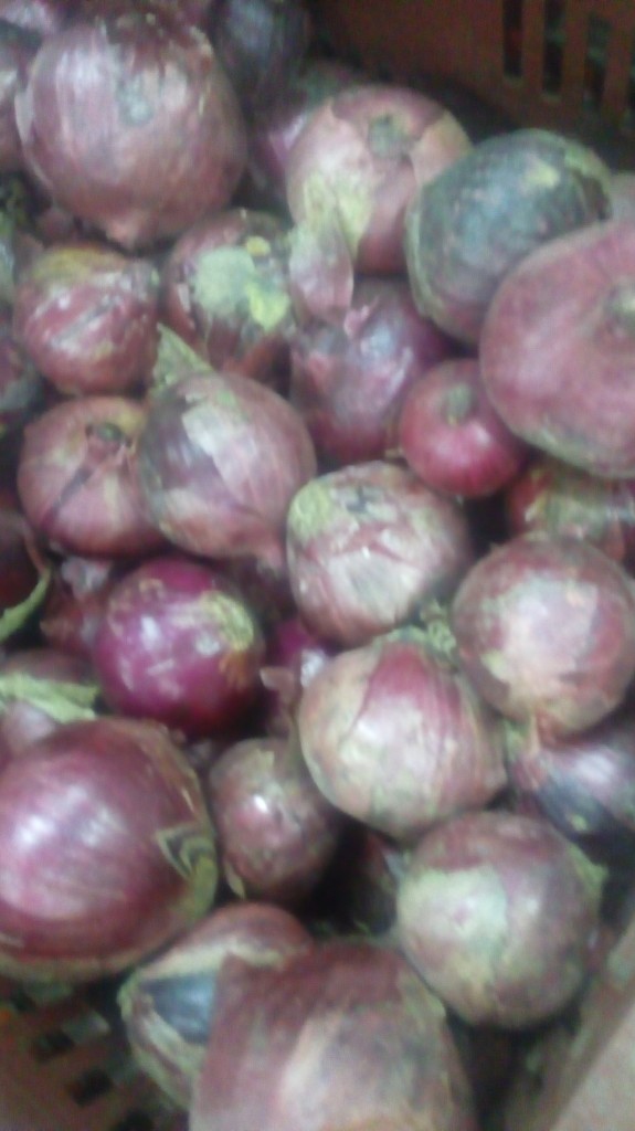 Cebollas cabezona morada