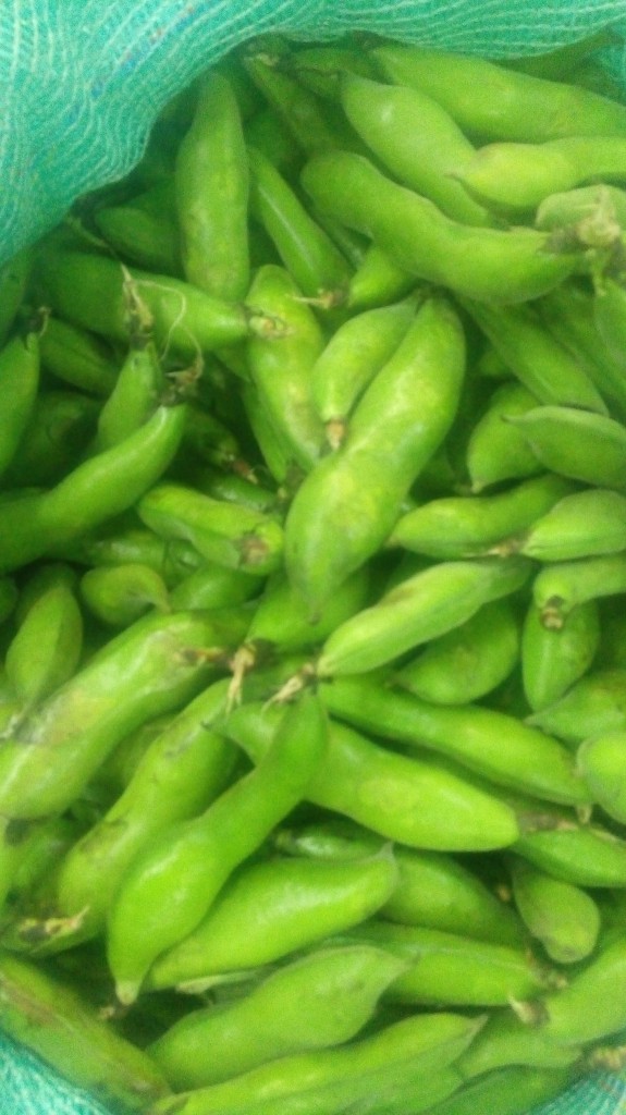 Abás