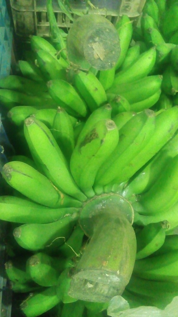 Colicero