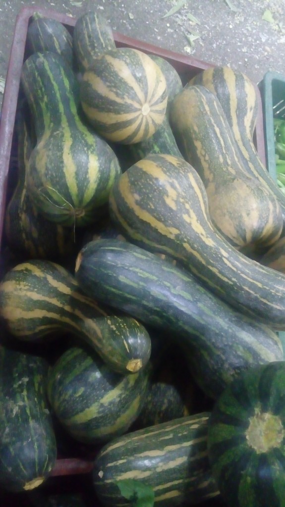 Ahuyama Sapayo