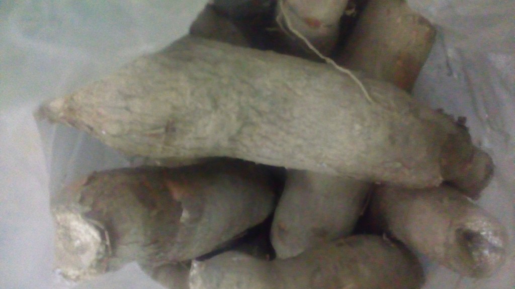 Yuca