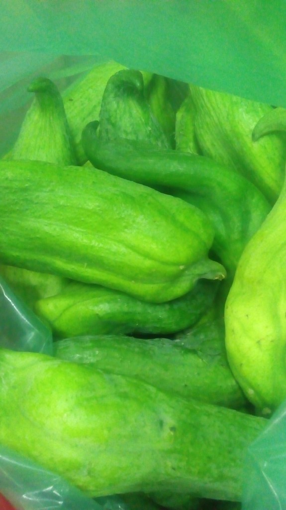 Pepino para guiso