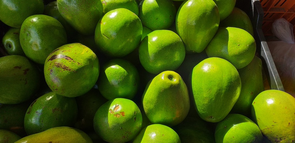 Aguacate papelillo