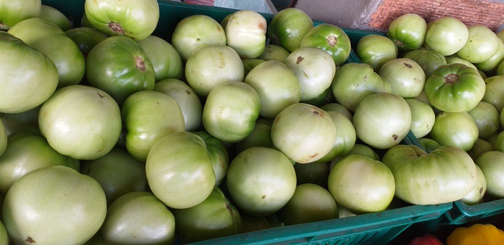 Tomate riñon