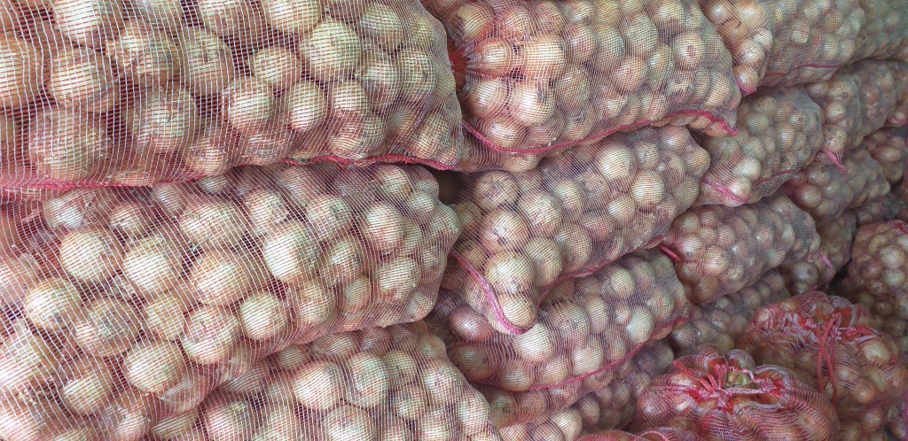Cebolla blanca gruesa/50kg
