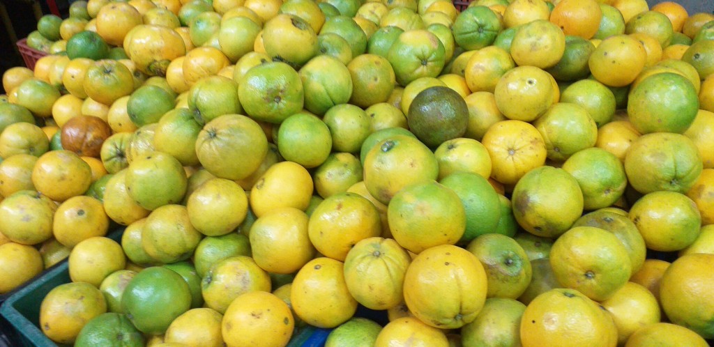 Naranja washington