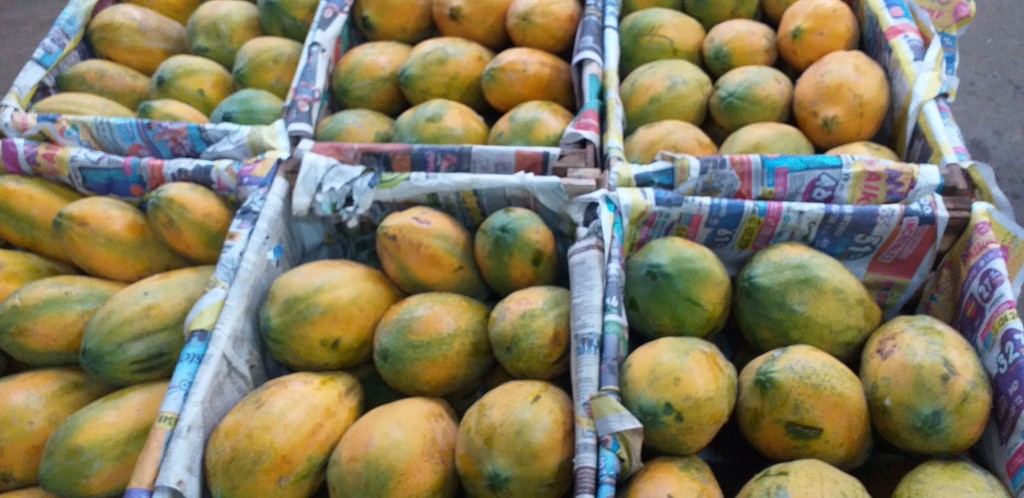 Papaya costeña gruesa/25kg