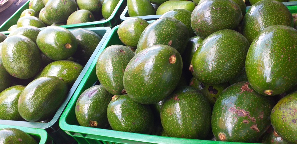 Aguacate choquette