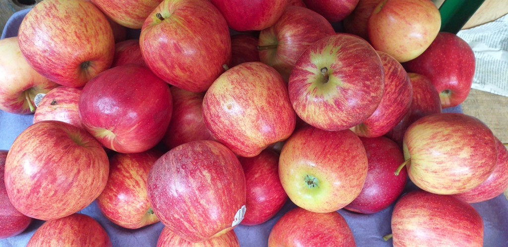 Manzana gala