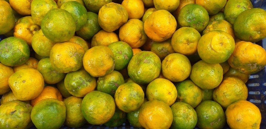 Mandarina oneco pareja