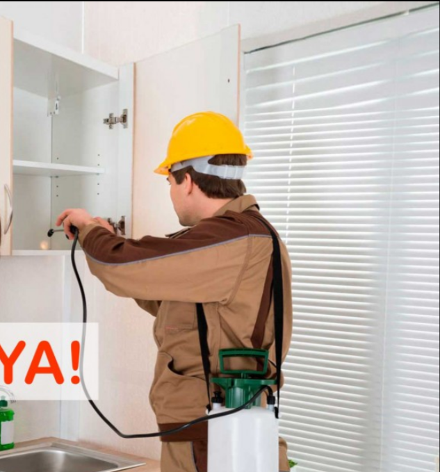 FUMIGACIONES Y CONTROL DE PLAGAS DE CUCARACHAS Y OTROS EN CASAS OFICINAS