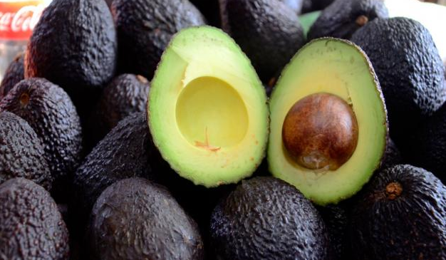 Aguacate Hass