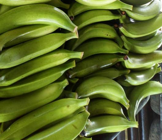 Platano verde