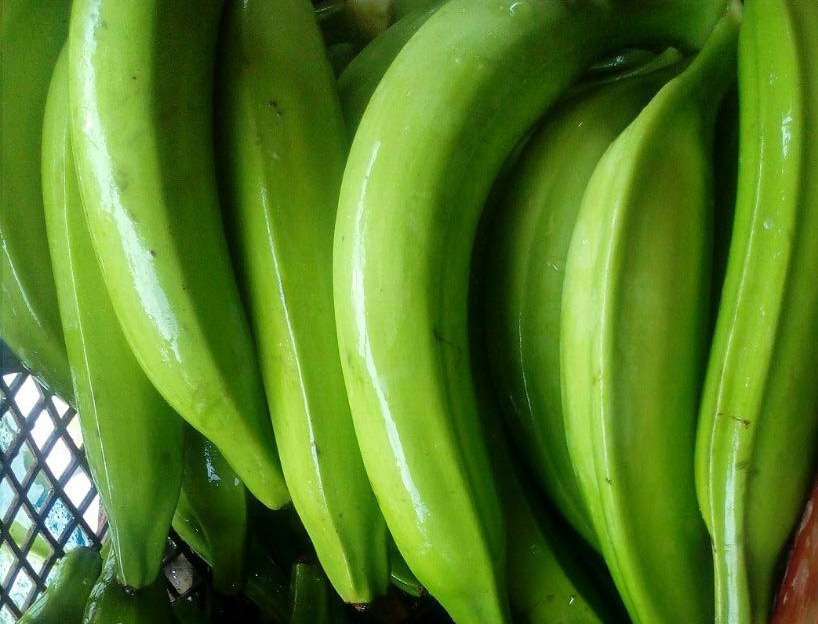 Platano verde