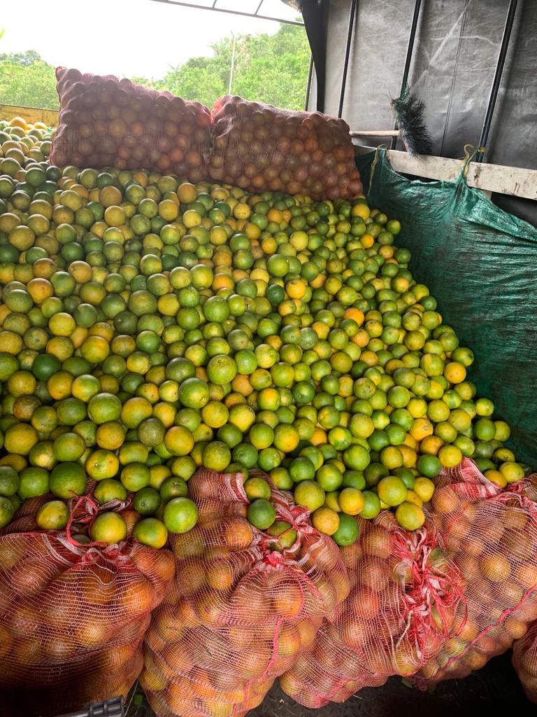 Naranjas sweet — foto 8 de 9