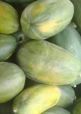 Papaya