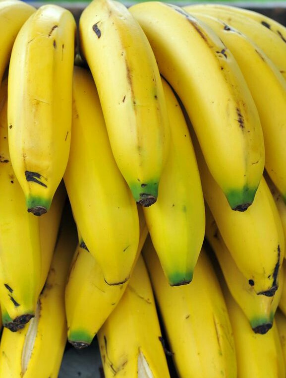 Banano criollo