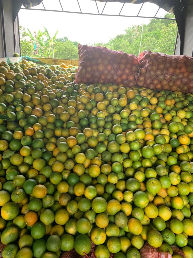 Naranjas sweet