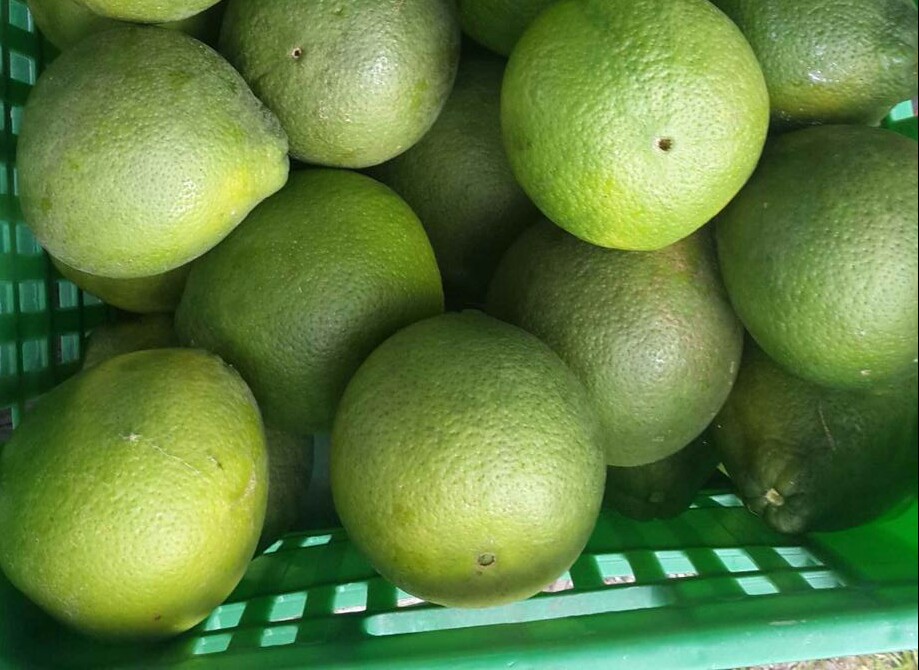 Naranja tangelo