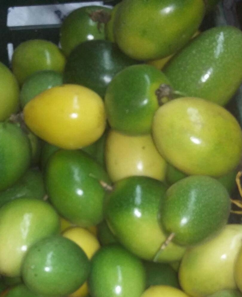 Maracuya