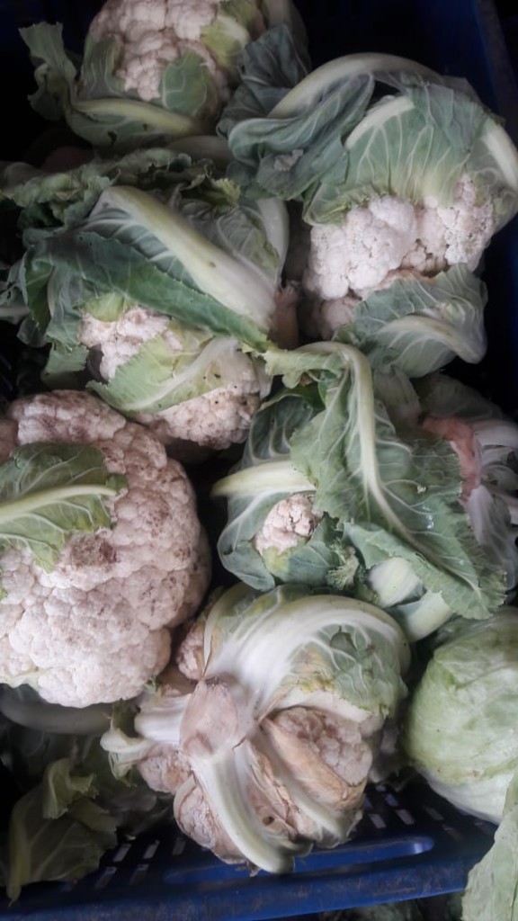 Coliflor