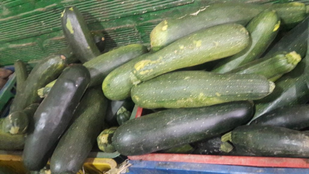 Zucchini