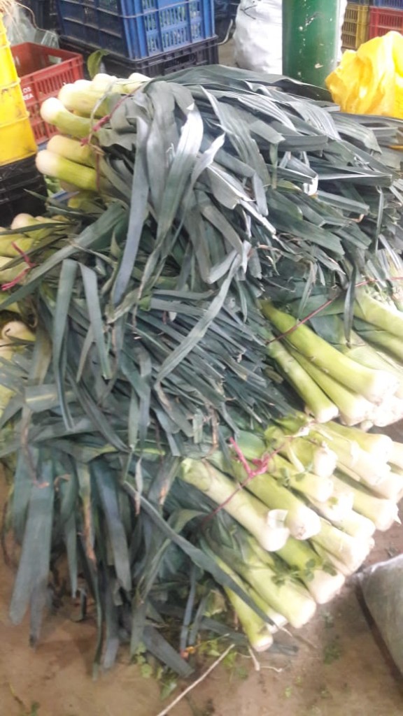 Cebolla Puerro