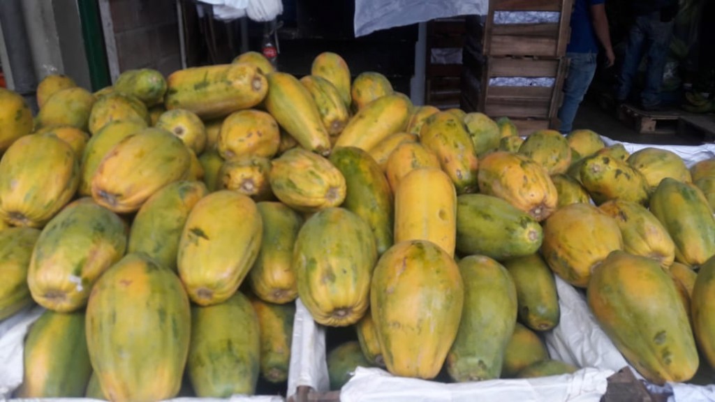Papaya Tainung