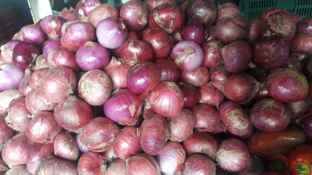 Cebolla de Huevo roja