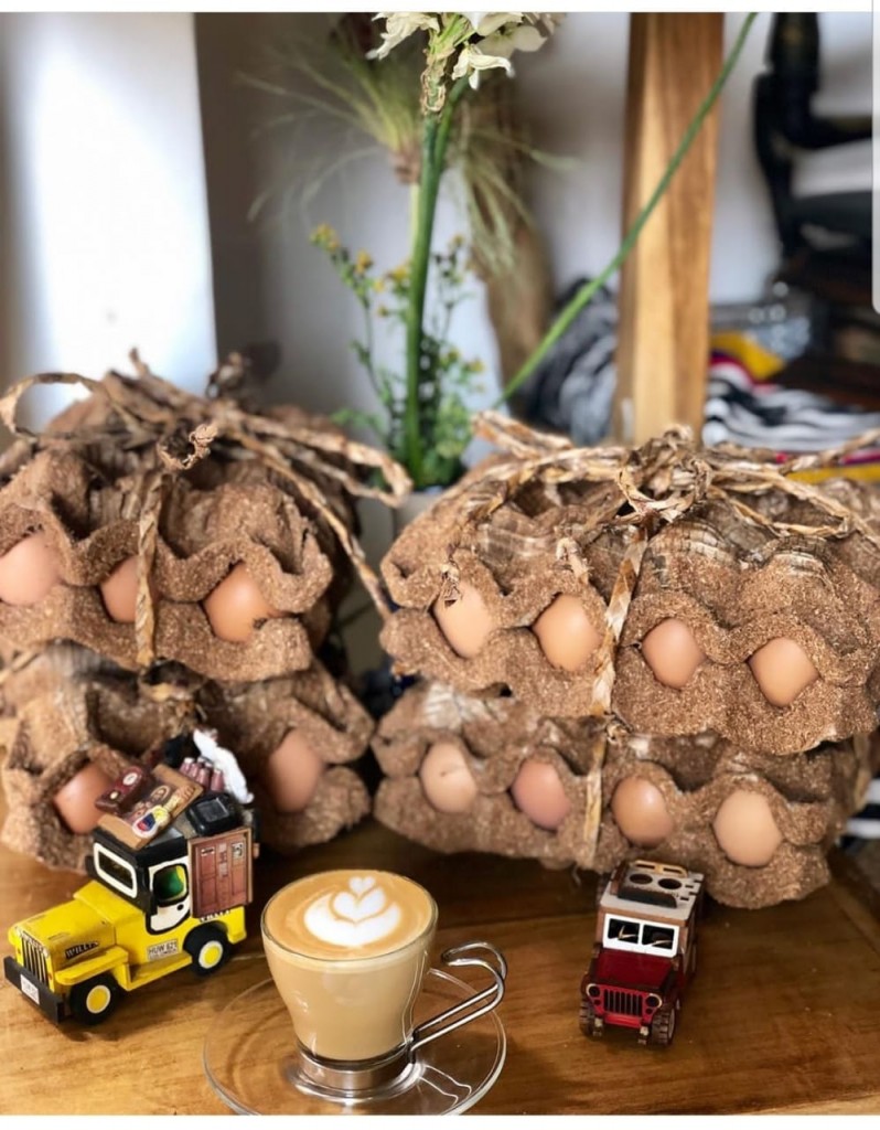 Huevos orgánicos