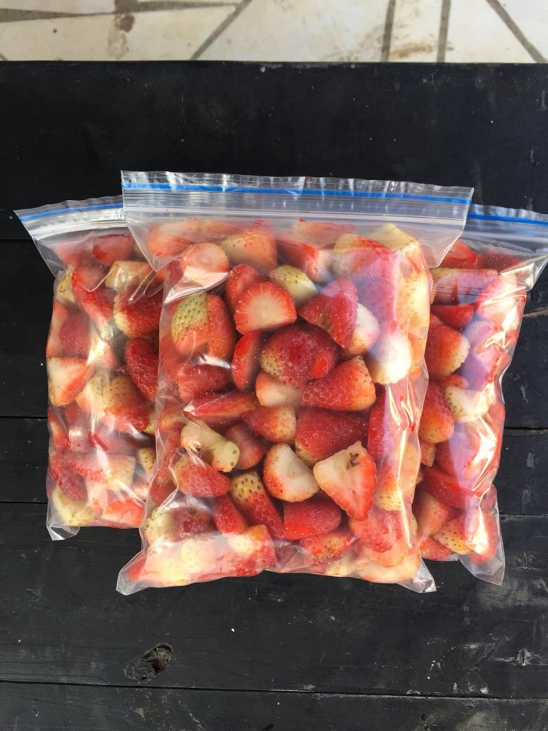 Fresa despitonada/500gm