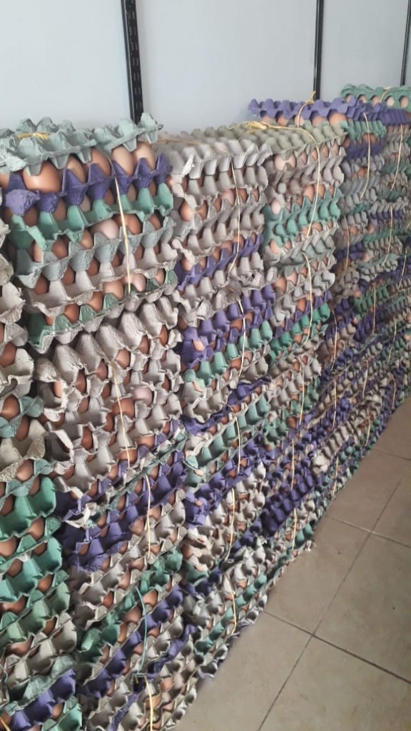 Huevos tipo AA