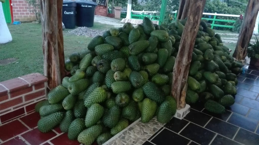 Guanabana