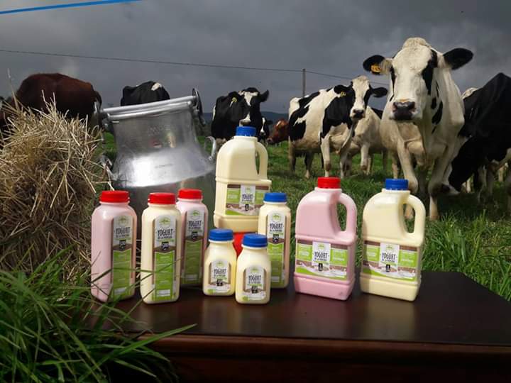 Yogurt saborizado con fruta/500ml