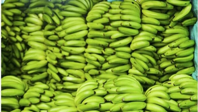 Banano