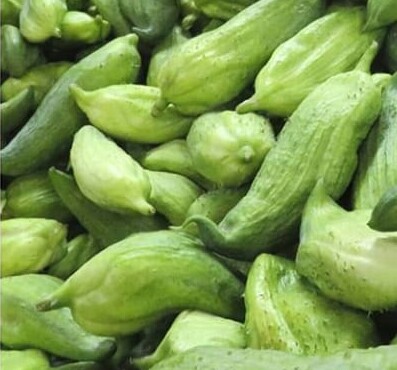 Pepino para guiso