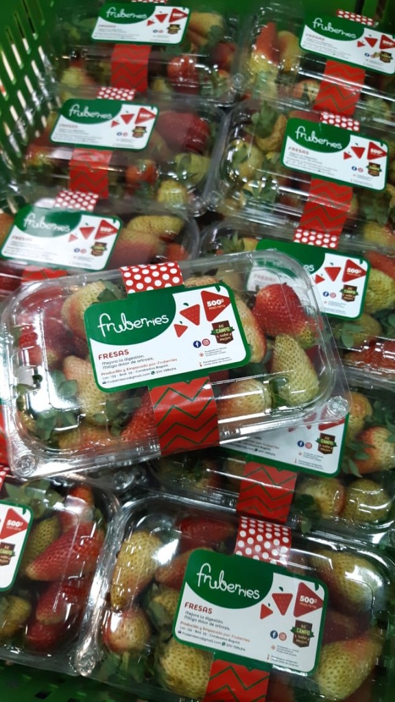 Fresas extra selecto