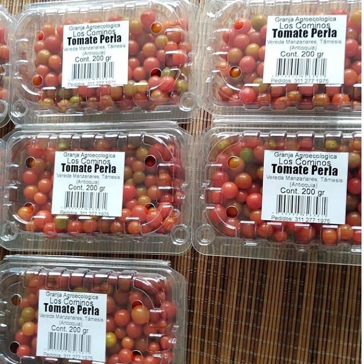 Tomate perla Ecologico